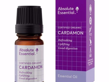 Absolute Essential Cardamon Oil Hot on Sale